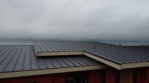 Best Green or Eco-Friendly Roofing Solutions  in Bothell East, WA